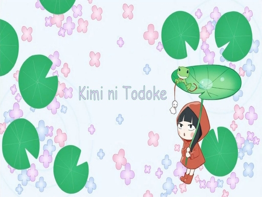 Kimi ni Todoke SD