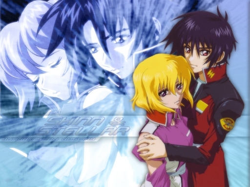 Shin & Stellar
