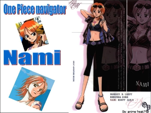 One Piece Navigator