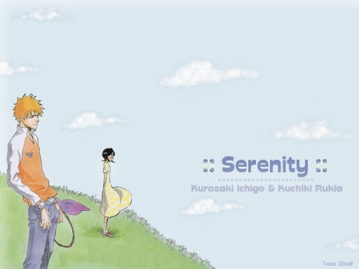 Ichigo And Rukia - Serenity Lo