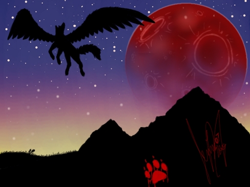 Through The Skies I Fly...