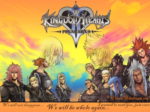 Final Mix- Organisation 13