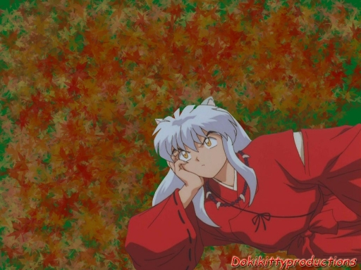 Fall is here and Inu is there