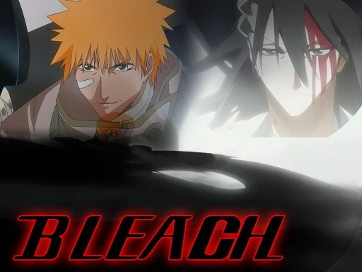 Bleach2898122
