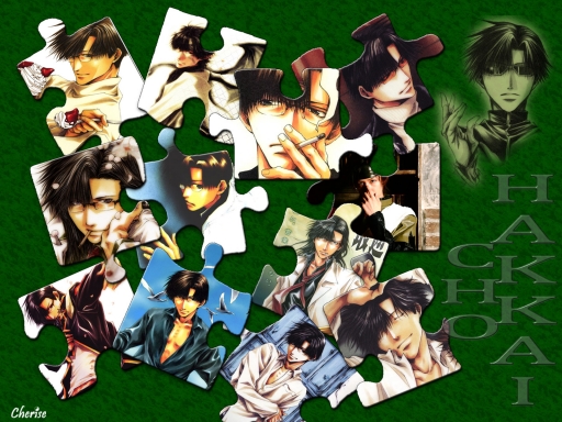 Hakkai Puzzle