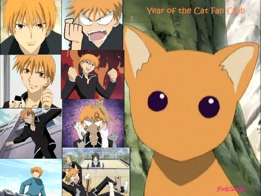Year Of The Cat Fan Club