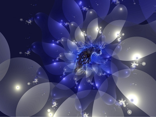 Spirit Of The Forest