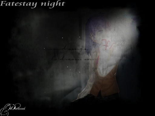 Fate/stay Night
