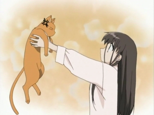 Fruits Basket
