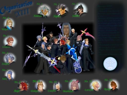 Organization Xiii