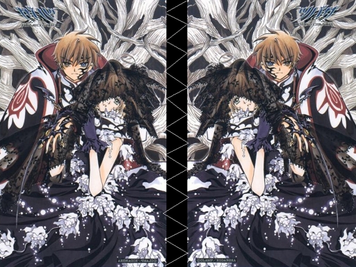 Chronicle Of The Wings