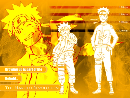 Naruto Revolution