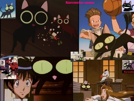 kuroneko-sama