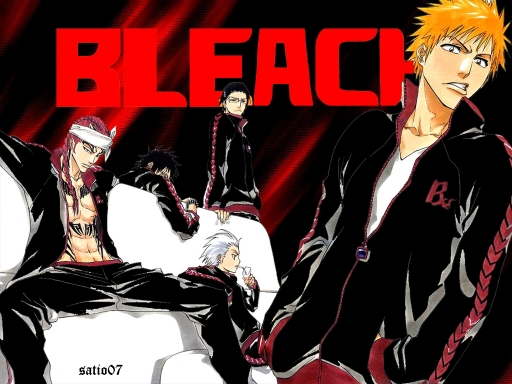 Bleach