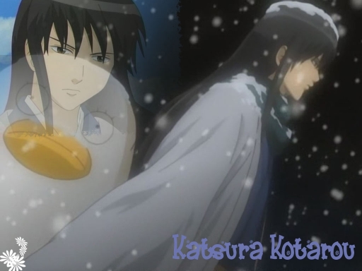 Katsura Winter