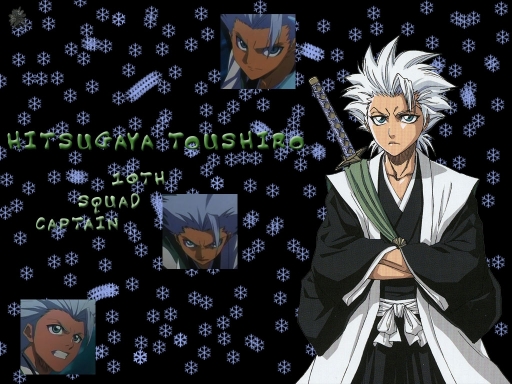Hitugaya, 10th Captain