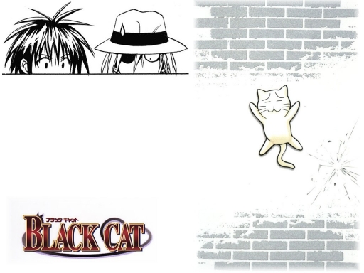 Lookong For White Cat