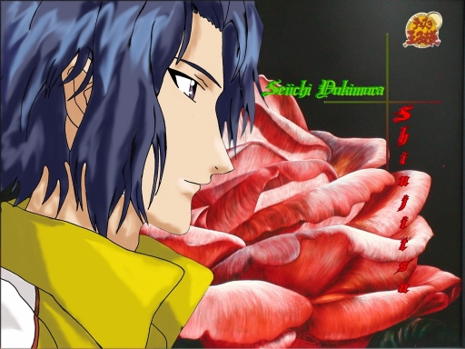 Seiichi's Shinjitsu-cover 2nd