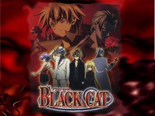 Black Cat Black Group