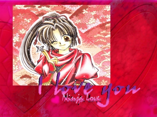 Ninja Love