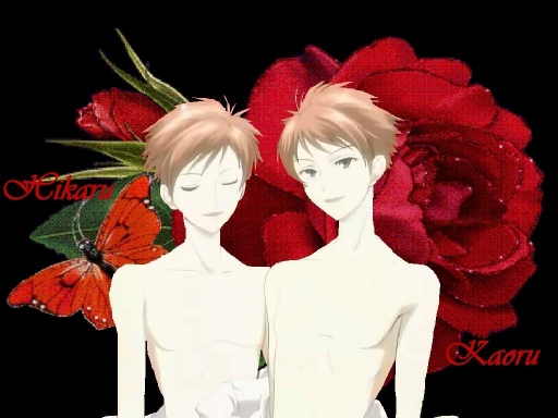 Kaoru And Hikaru