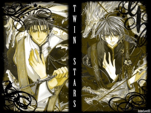 Twin Stars