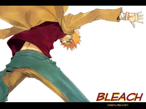 Bleach