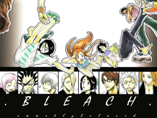 Bleach