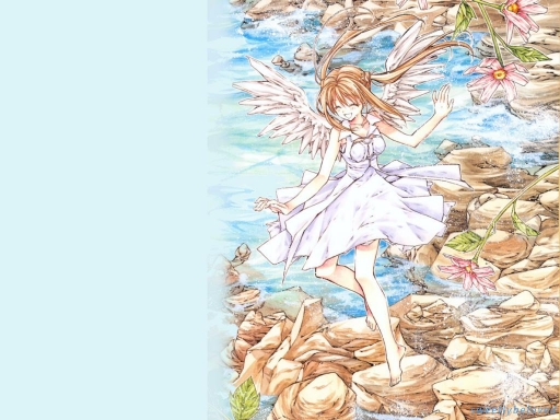 Shinshi Doumei Cross