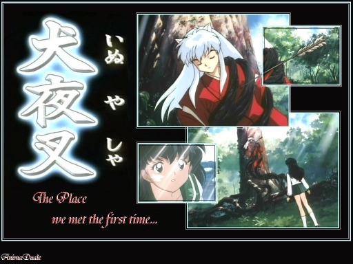 The Place We Met The First Tim