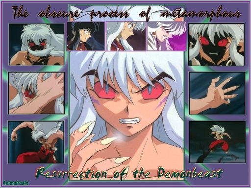 The Obscure Process Of Metamor