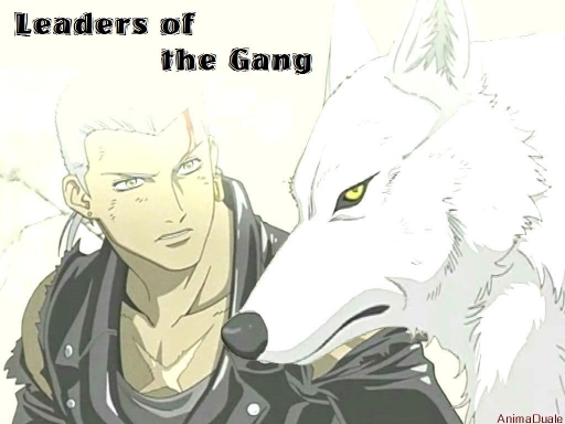 Leaders Of The Gang