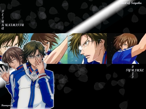 best of seigaku
