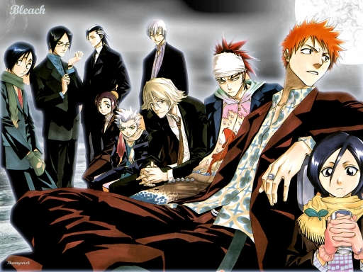 Bleach