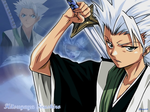 Hitsugaya
