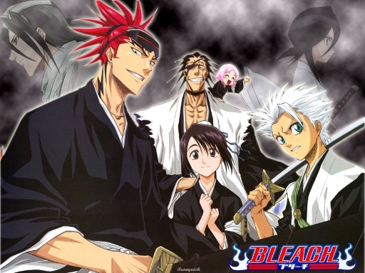 Bleach