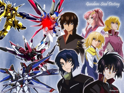 Seed Destiny