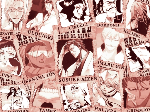 Wanted - Bleach