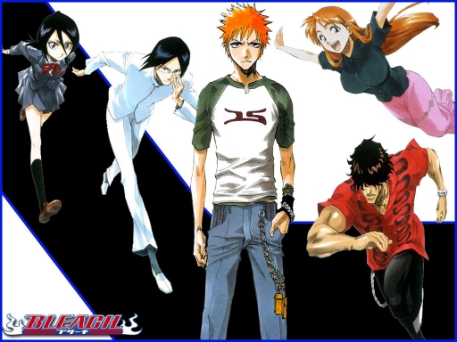 Bleach