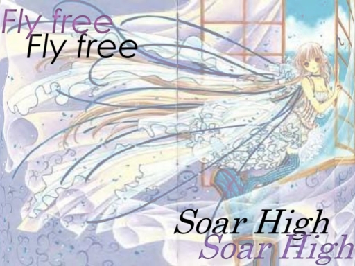 Soar Free & Fly Hight