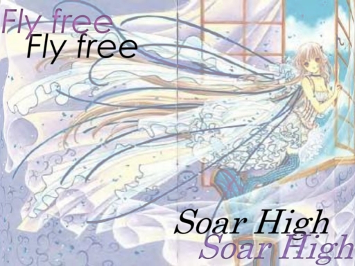 Soar Free & Fly Hight