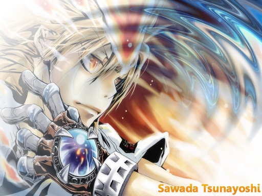 Sawada Tsunayoshi