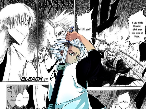 Hitsugaya & Gin
