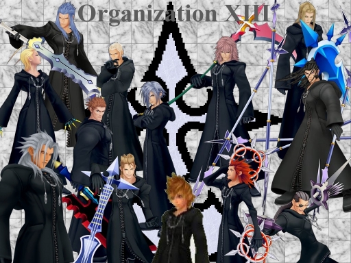 Organization Xiii