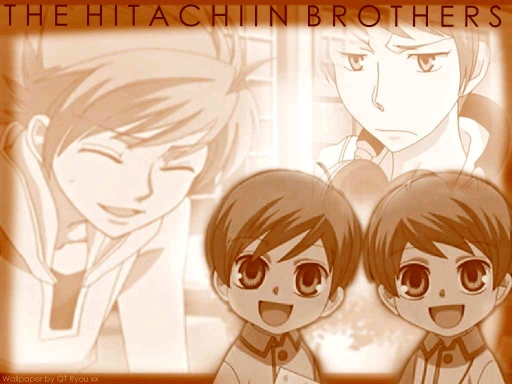 The Hitachiin Brothers