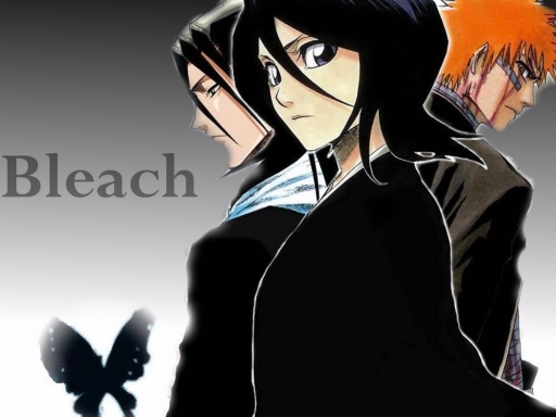 Bleach