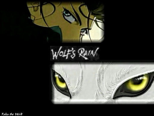 Wolf's Eyes