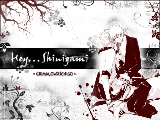 Hey...Shinigami