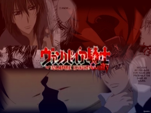 Kaname/Zero Feelings