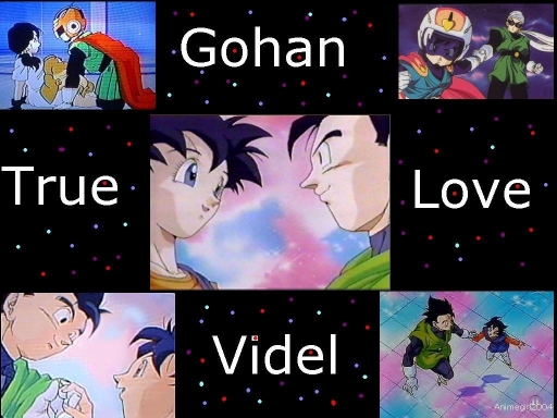 Gohan And Videl,true Love